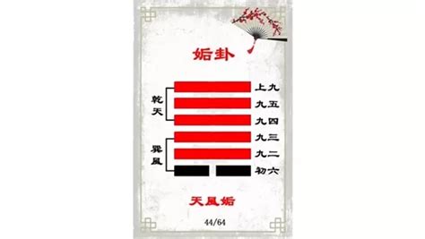 天風卦|解讀易經（第四十四卦）——姤卦